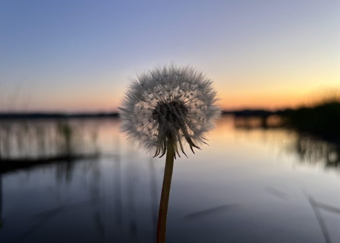 Żaneta Maruńczak - terapia schematu Zielona Góra - certyfikowany psychoterapeuta ISST